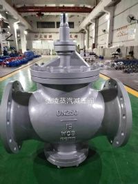 �����p���y