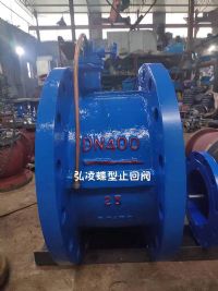 ����ֹ���y