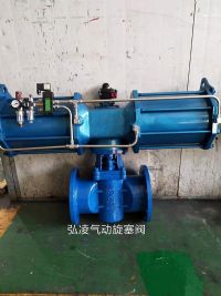 ��������y