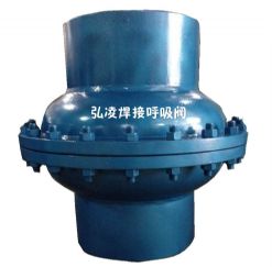 ���Ӻ����y